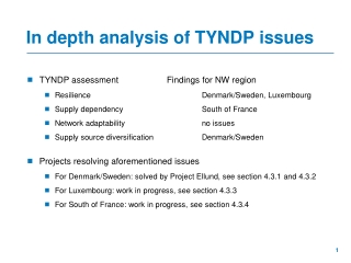 In depth analysis of TYNDP issues