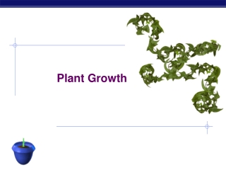 Plant Growth