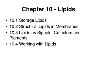 Chapter 10 - Lipids