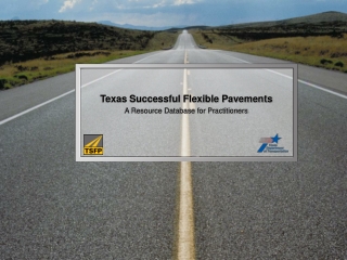 Texas Successful Flexible Pavements