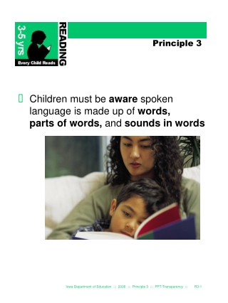 Principle 3