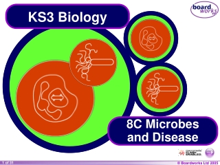 KS3 Biology