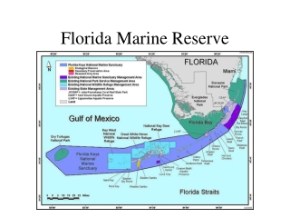 Florida Marine Reserve