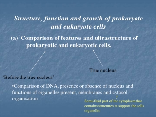 Structure, function and growth of prokaryote and eukaryote cells