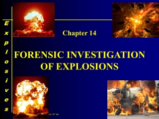 FORENSIC INVESTIGATION OF EXPLOSIONS