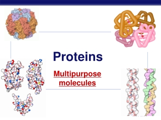 Proteins