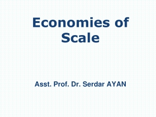 Economies of Scale Asst. Prof. Dr. Serdar AYAN