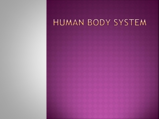 Human Body System