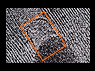 Phase relation between the atoms in the graphene wall causes electron scattering