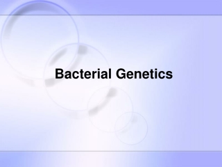 Bacterial Genetics