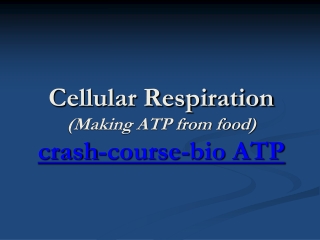 Cellular Respiration (Making ATP from food) crash-course-bio ATP