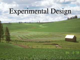 Experimental Design