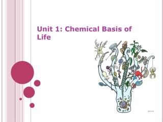 Unit 1: Chemical Basis of Life