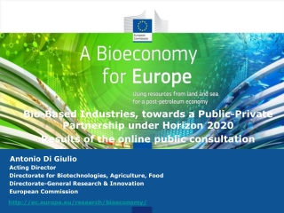 Bio- Based  Industries,  towards  a Public- Private Partnership under  Horizon 2020