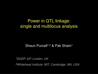 Power in QTL linkage:  single and multilocus analysis
