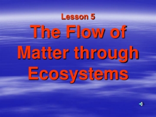 Lesson 5 The Flow of Matter through Ecosystems