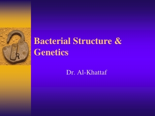 Bacterial Structure &amp; Genetics