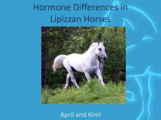 Hormone Differences in Lipizzan Horses