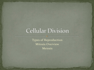 Cellular Division