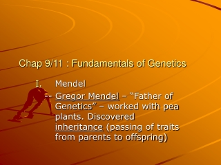 Chap 9/11 : Fundamentals of Genetics