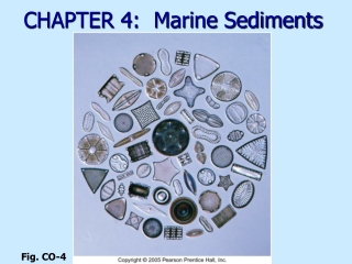 CHAPTER 4:  Marine Sediments