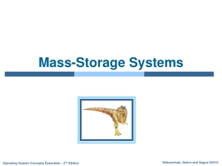 Mass-Storage Systems