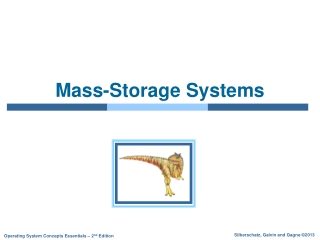 Mass-Storage Systems