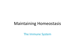 Maintaining Homeostasis