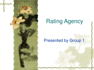 Rating Agency