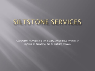 Siltstone Services