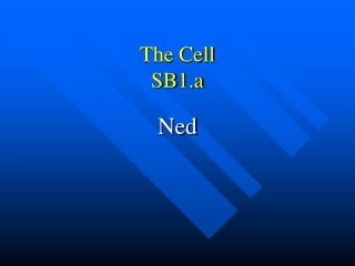 The Cell SB1.a