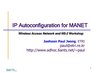 IP Autoconfiguration for MANET