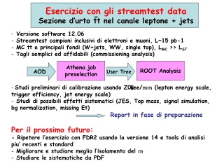 Esercizio con gli streamtest data Sezione d’urto tt nel canale leptone + jets