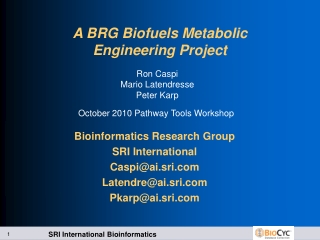 A BRG Biofuels Metabolic Engineering Project