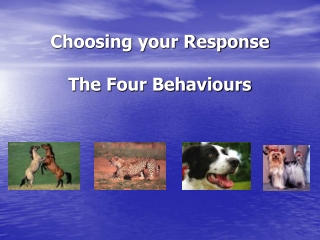 Choosing your Response The Four Behaviours