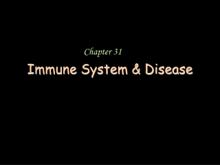 Immune System &amp; Disease