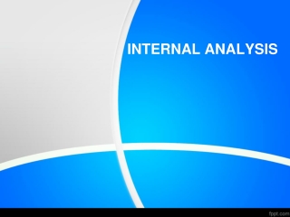 INTERNAL ANALYSIS