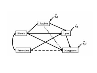 y  =  p  x 1 vector of responses