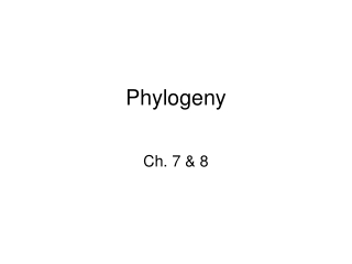 Phylogeny