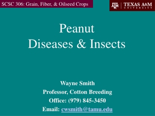 Peanut Diseases &amp; Insects