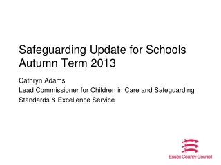 Safeguarding Update for Schools Autumn Term 2013