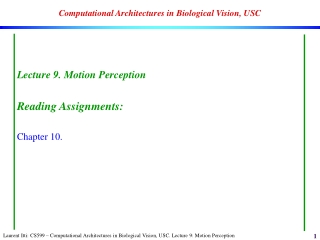 Computational Architectures in Biological Vision, USC