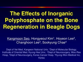 The Effects of Inorganic Polyphosphate on the Bone Regeneration in Beagle Dogs