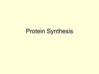 Protein Synthesis