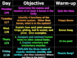 Warm-ups