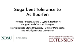 Sugarbeet Tolerance to Acifluorfen