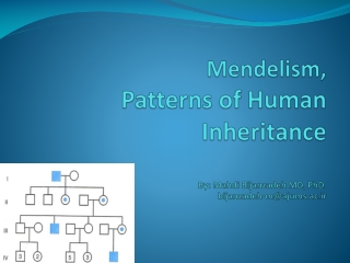 Mendelism, Patterns of Human Inheritance