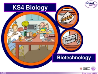 KS4 Biology