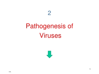 Pathogenesis of  Viruses