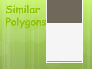 Similar Polygons